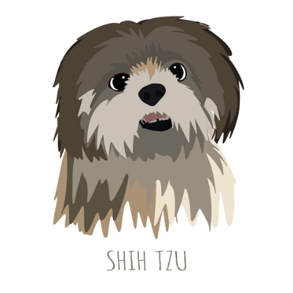 Picture of SHIH TZU