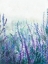 Picture of LAVENDER GARDEN I
