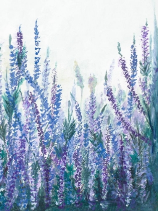 Picture of LAVENDER GARDEN II