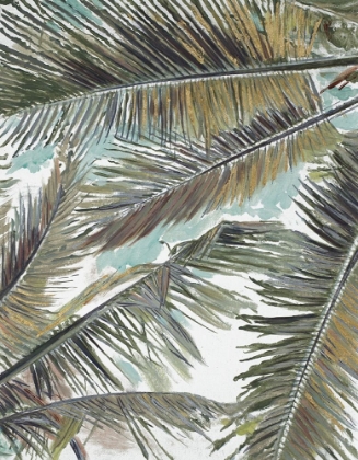 Picture of PALMS IN THE SKY