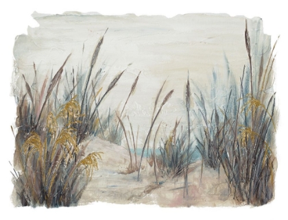 Picture of TALL BEACH GRASS