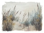 Picture of TALL BEACH GRASS