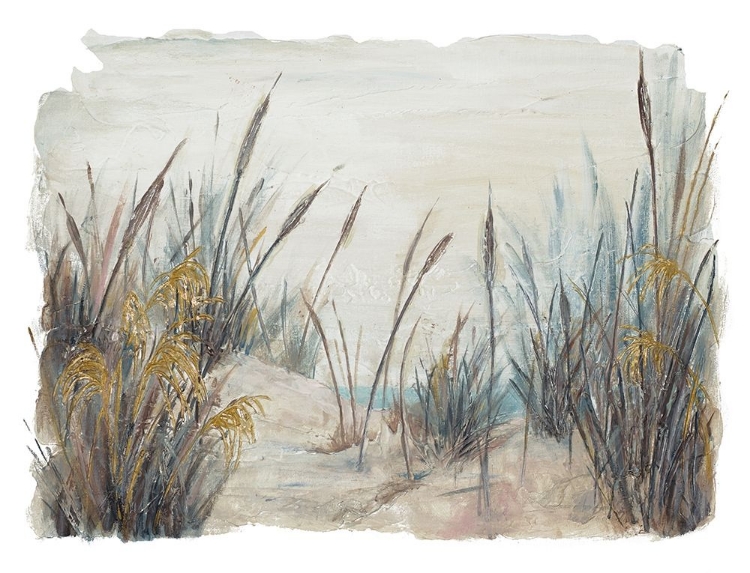 Picture of TALL BEACH GRASS