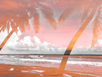 Picture of TWO PALMS