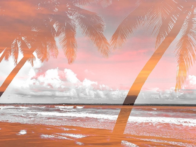 Picture of TWO PALMS