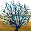 Picture of COASTAL BLUE II