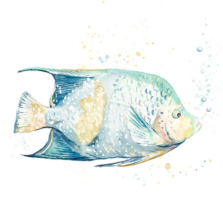 Picture of PESCADO AZUL SQUARE