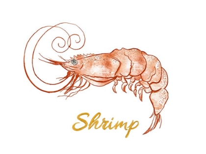 Picture of SHRIMP