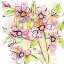 Picture of A SPLASH OF BEAUTY FLORALS