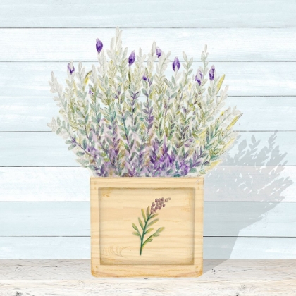 Picture of LAVENDER AND WOOD SQUARE III