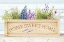 Picture of LAVENDER AND WOOD PLANTER HOME
