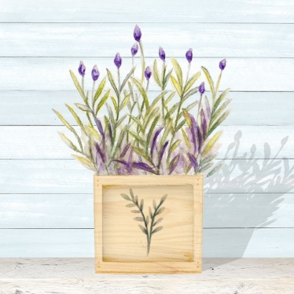 Picture of LAVENDER AND WOOD SQUARE II
