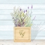Picture of LAVENDER AND WOOD SQUARE IV