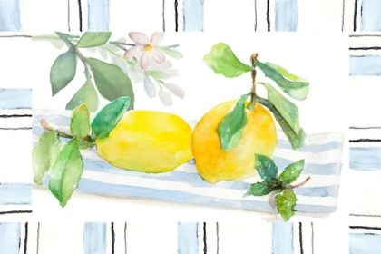 Picture of SPRING CITRON