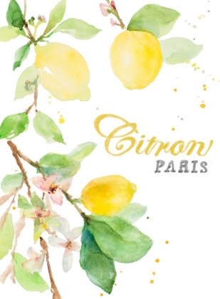 Picture of SPRING CITRON IN PARIS