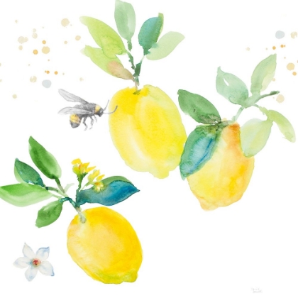 Picture of BEE-FRIEND THE LEMON II