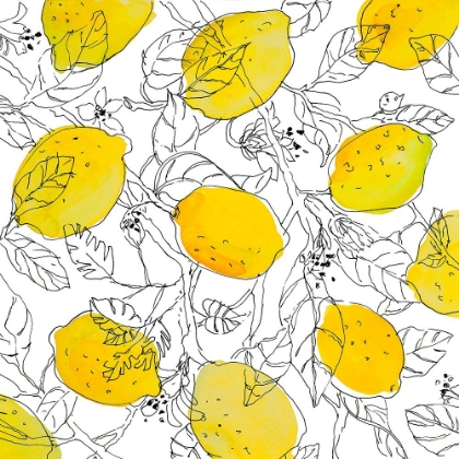 Picture of LEMONS WITH OUTLINED LEAVES
