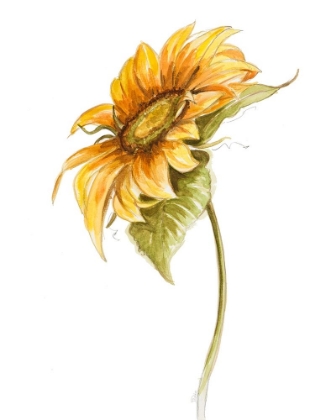 Picture of HARVEST GOLD SUNFLOWER I