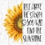 Picture of RISE ABOVE THE STORM