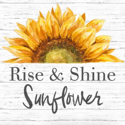Picture of RISE AND SHINE SUNFLOWER