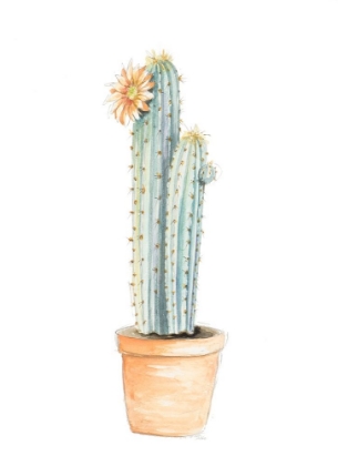 Picture of POTTED FLOWER CACTUS I