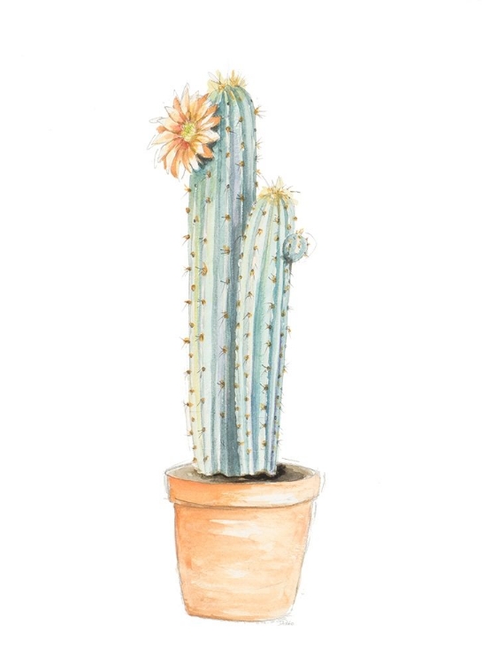 Picture of POTTED FLOWER CACTUS I