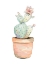 Picture of POTTED FLOWER CACTUS II