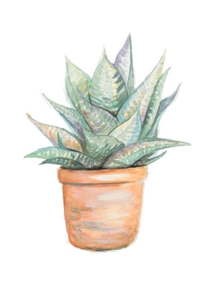 Picture of POTTED CACTUS