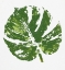 Picture of TROPICAL LEAF STAMP