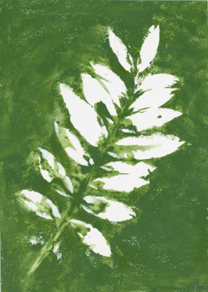 Picture of TROPICAL LEAF BRANCH STAMP WHITE