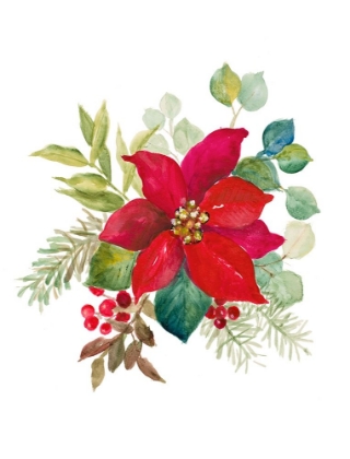 Picture of BLOOMING POINSETTIA I