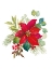 Picture of BLOOMING POINSETTIA I