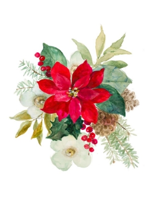 Picture of BLOOMING POINSETTIA II