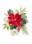 Picture of BLOOMING POINSETTIA II