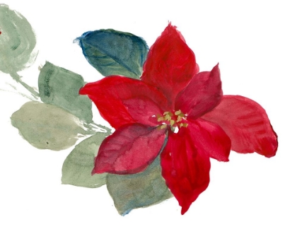 Picture of BRIGHT POINSETTIA II