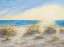 Picture of COASTAL SUNRISE