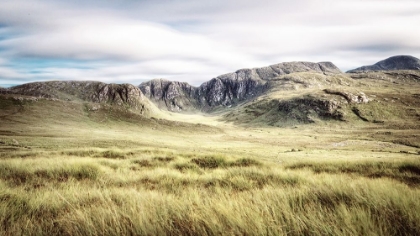 Picture of IRISH COUNTRYSIDE