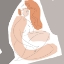 Picture of ELEGANT LINE DRAWING III