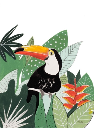 Picture of PEERING TOUCAN