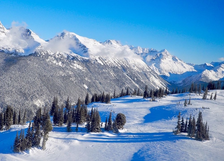 Picture of SNOWY MOUNTAINTOP