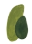 Picture of GREEN SHAPES