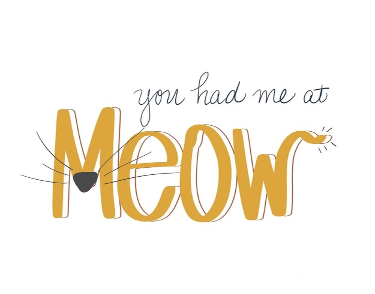 Picture of YOU HAD ME AT MEOW