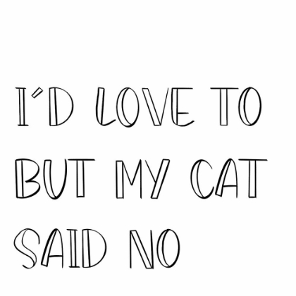 Picture of MY CAT SAID NO