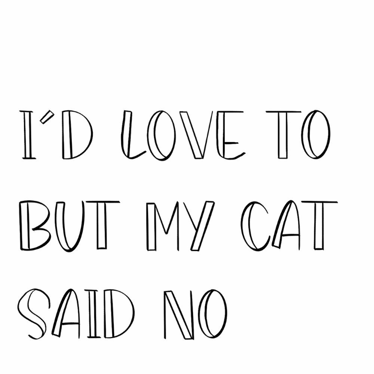 Picture of MY CAT SAID NO