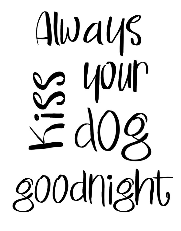 Picture of ALWAYS KISS YOUR DOG GOODNIGHT