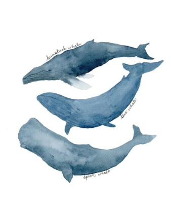 Picture of WHALE TRIO