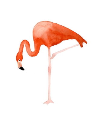 Picture of STANDING FLAMINGO