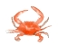 Picture of CRAB