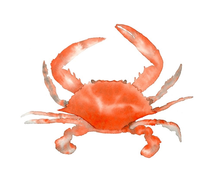 Picture of CRAB