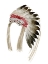 Picture of NATIVE AMERICAN HEAD DRESS